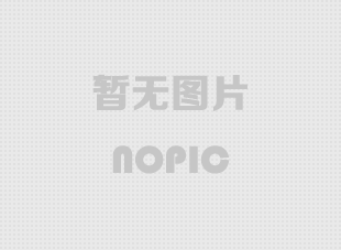 成功案例